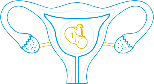 Dbaj o profilaktykę! Zakażenie układu moczowego w ciąży może być niebezpieczne dla rozwijającego się płodu!